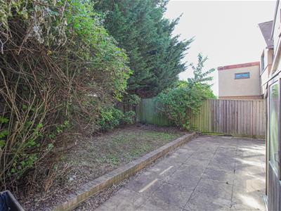 Picture 20